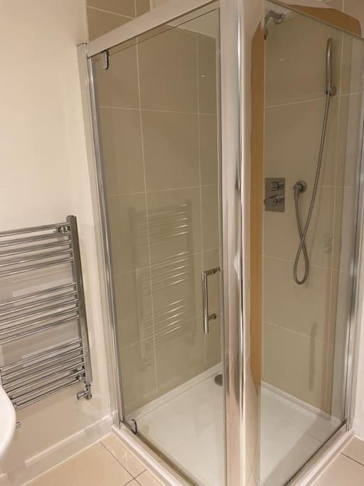 Modern Apartment, Fistral Beach New Quay エクステリア 写真